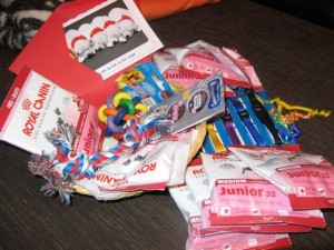 dalmatiner-geschenk