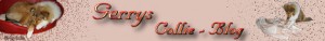 banner-gerry
