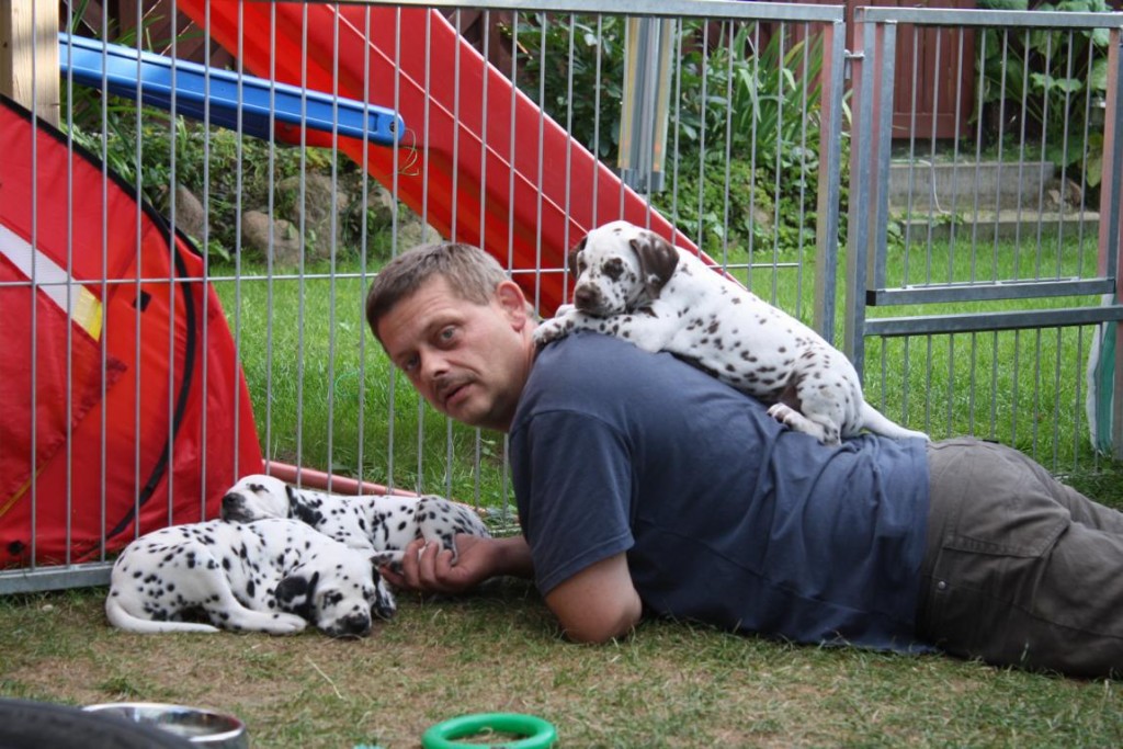 welpen-tag43_1575