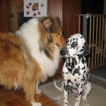 Gerry & Antonia