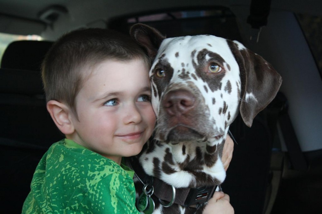 ares und felix