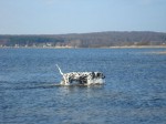 ares in der ostsee