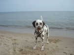 ares in binz