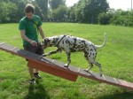 Balance-Akt Ares