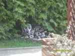 Lieblingsplatz im Garten