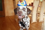 Ares 1. Geburtstag