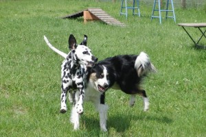 ameli und paul