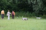 Spaziergang