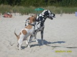 Falsche Stelle