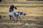 besuch-bianca_0758