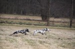 besuch-bianca_0785