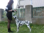 CIMG2012
