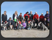 Welpentreffen an der Ostsee 2012