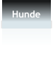 Hunde