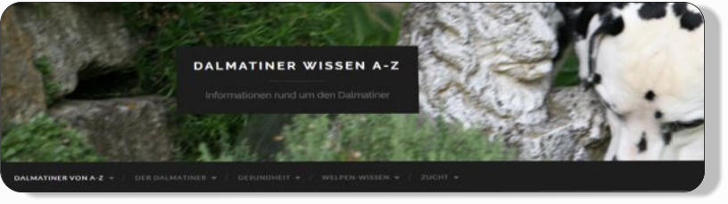 dalmatiner-wissen-von-a-bis-z